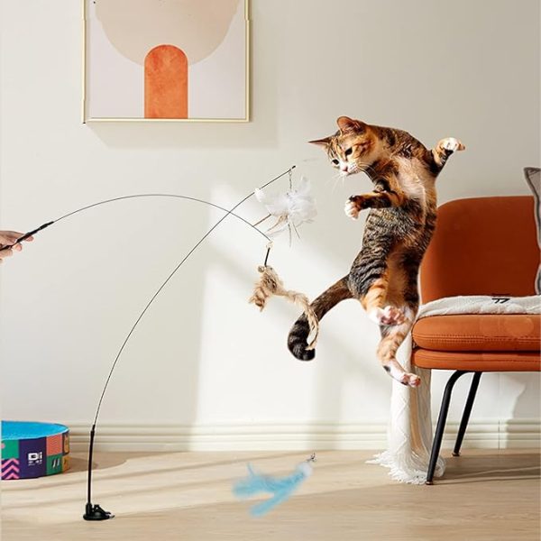 Roll over image to zoom in 3 VIDEOS Cat Toy Wand Auto Interactive Toys for Indoor Cat 6 in 1 Hands-Free Natural Bird Feather Ball Toys, Suction Cup Pet Dancing Playing Toy